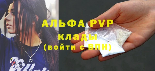 гашик Зеленокумск