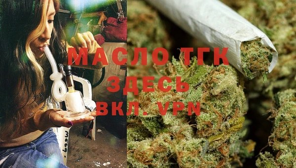 гашик Зеленокумск
