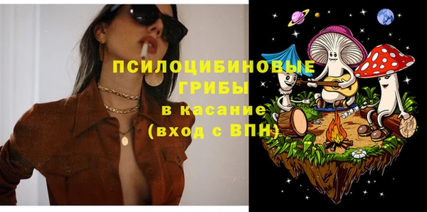 шишки Иннополис