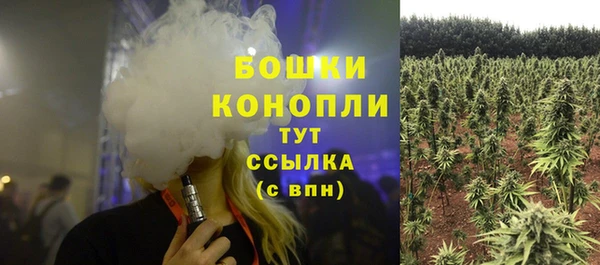 гашик Зеленокумск