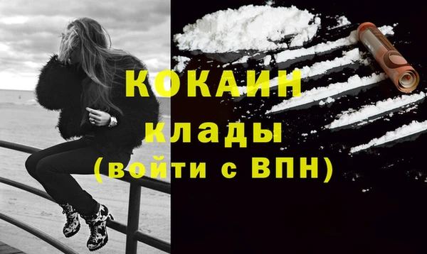 гашик Зеленокумск