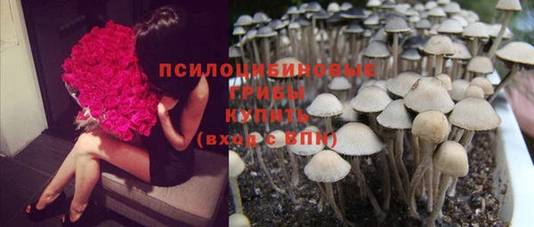шишки Иннополис
