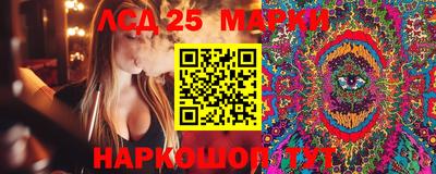 apvp Коммунар