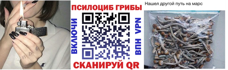 Псилоцибиновые грибы Magic Shrooms  Кимовск 