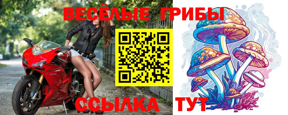 Галлюциногенные грибы мицелий Кимовск