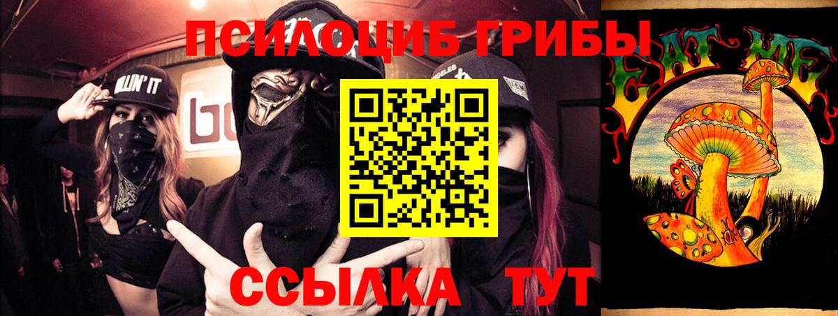 Псилоцибиновые грибы прущие грибы  Вход с VPN  Псилоцибиновые грибы Psilocybine cubensis  Кимовск 