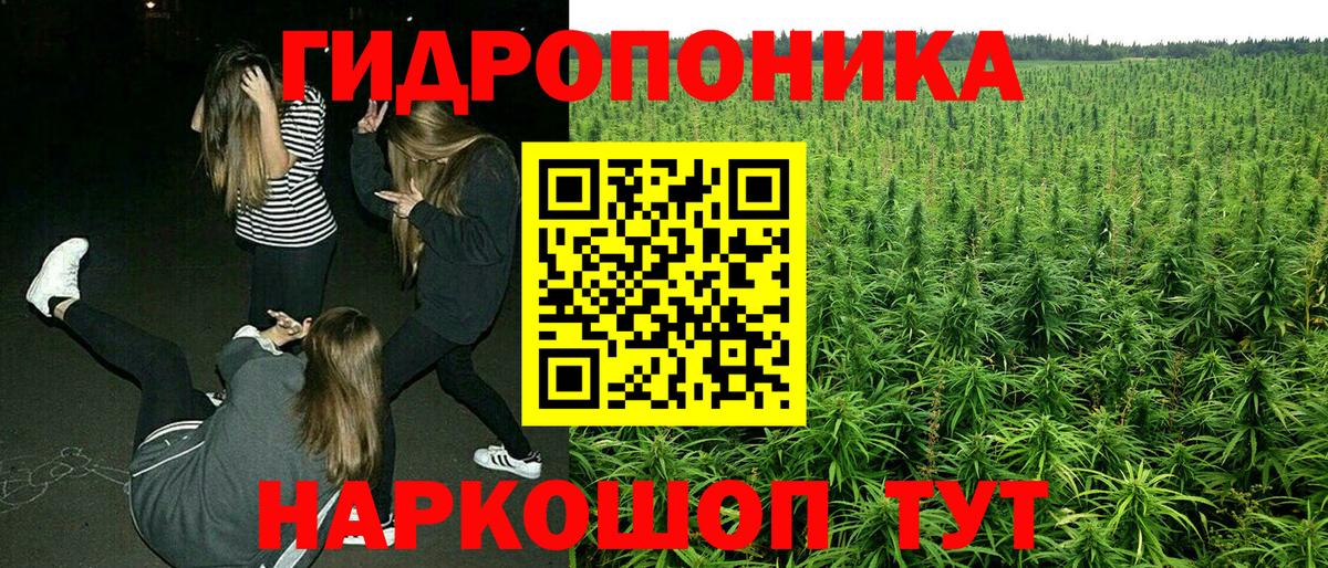 Кимовск  Канабис OG Kush  Шишки марихуана White Widow  Каннабис марихуана  Бошки марихуана сатива  Вход с VPN 
