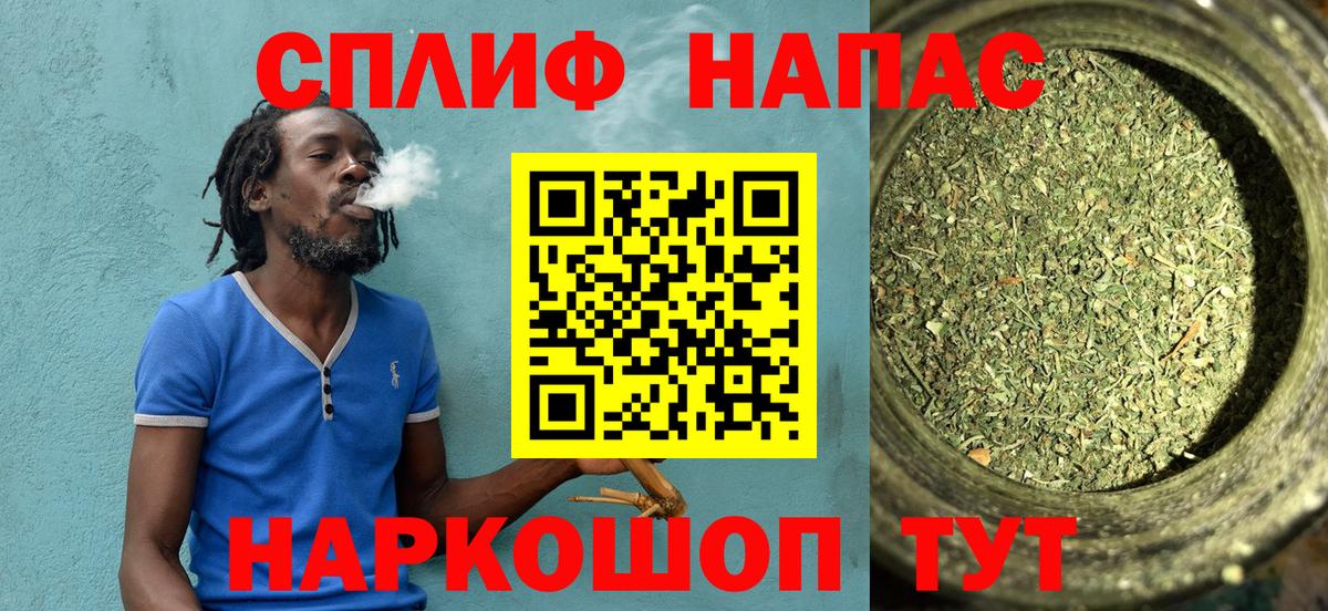 Канабис сатива Кимовск